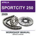 2009 Aprilia Sportcity 250 Workshop Service & Repair Manual
